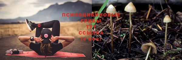 марки nbome Балахна
