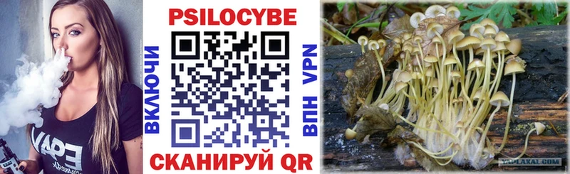 купить наркотики сайты  Черняховск  Галлюциногенные грибы прущие грибы 